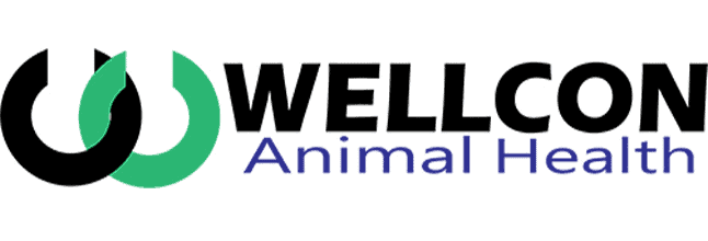 Wellcon Animal Health Private Limited » Indian Cattle