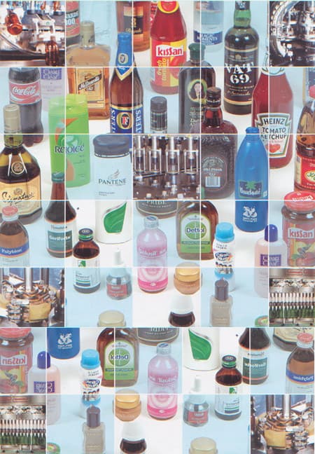 SS Packaging Industries Pvt Ltd » Indian Cattle