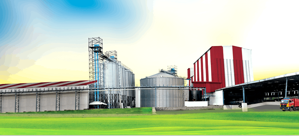 SKM Animal Feeds & Foods (India) Ltd (Corporate Office) » Indian Cattle