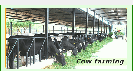 Shree Universegreen Corporation Limited