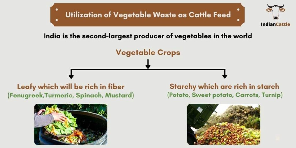 Vegetable Waste as Livestock Feed