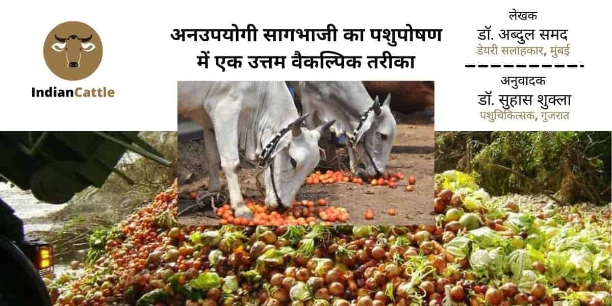 Vegetable waste as cattle feed