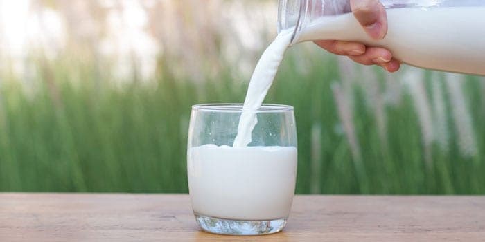 a2 milk health benefits