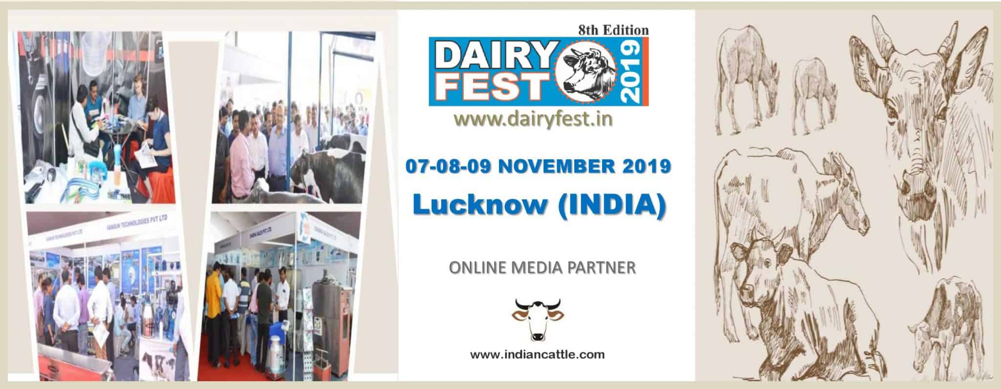 Dairy Fest 2019