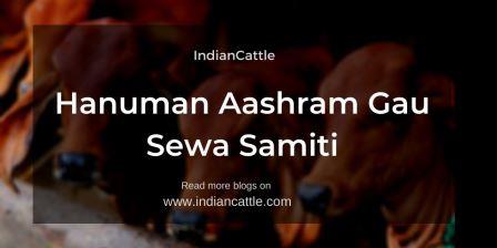 Hanuman Aashram Gau Sewa Samiti