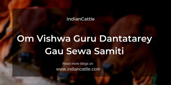 Om Vishwa Guru Dantatarey Gau Sewa Samiti