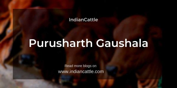 Purusharth Gaushala