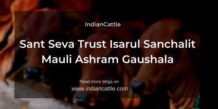 Sant Seva Trust Isarul Sanchalit Mauli Ashram Gaushala