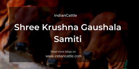 Shree Krushna Gaushala Samiti