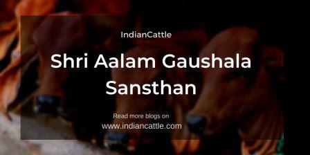 Shri Aalam Gaushala Sansthan