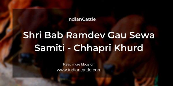Shri Baba Ramdev Gau Sewa Samiti