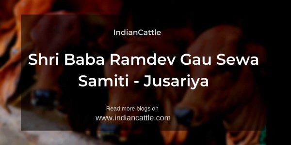 Shri Baba Ramdev Gau Sewa Samiti