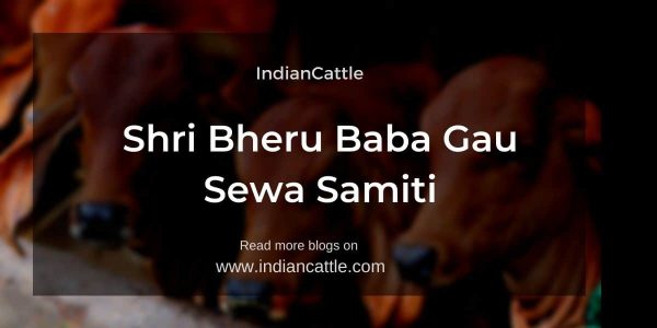 Shri Bheru Baba Gau Sewa Samiti