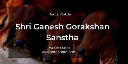 Shri Ganesh Gorakshan Sanstha
