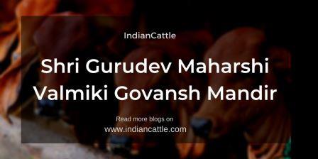 Shri Gurudev Maharshi Valmiki Govansh Mandir