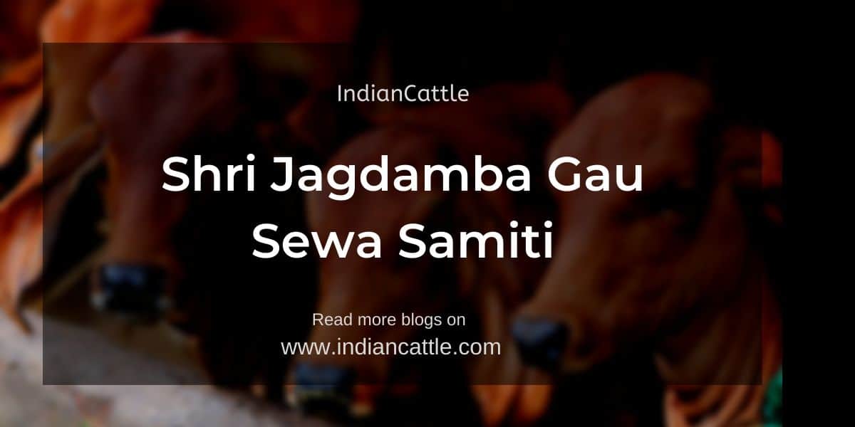 Shri Jagdamba Gau Sewa Samiti