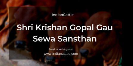 Shri Krishan Gopal Gau Sewa Sansthan