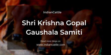 Shri Krishna Gopal Gaushala Samiti