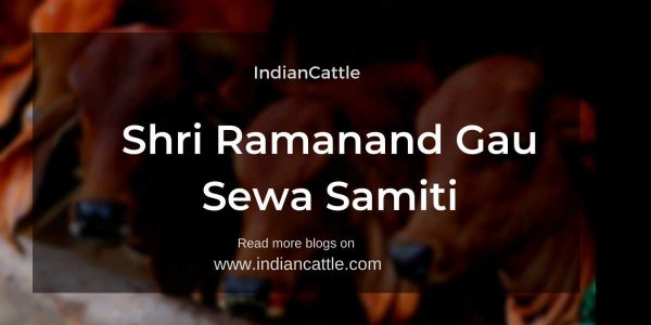 Shri Ramanand Gau Sewa Samiti