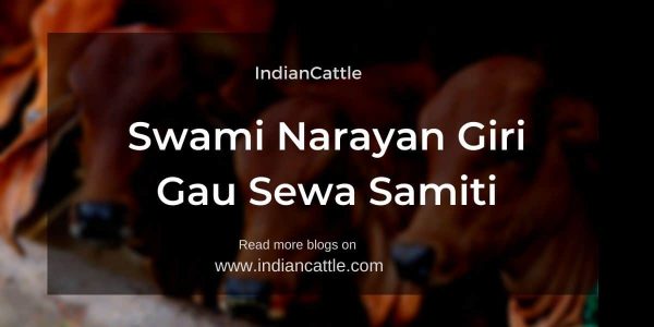 Swami Narayan Giri Gau Sewa Samiti