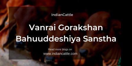 Vanrai Gorakshan Bahuuddeshiya Sanstha