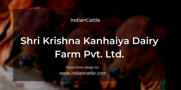 Shri Krishna Kanhaiya Dairy Farm Pvt Ltd