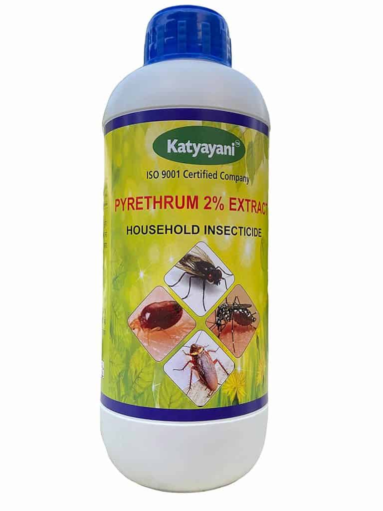 Tick Infestation in Dairy Cattle and its Control» Indian Cattle