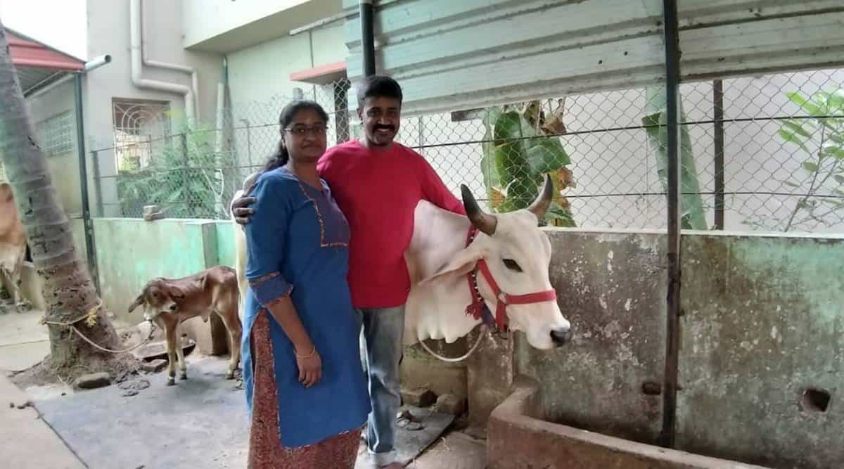 Chennai IT Couple