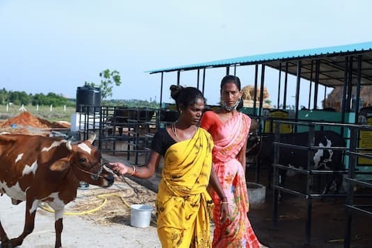 India's First Trans-run Dairy Farm