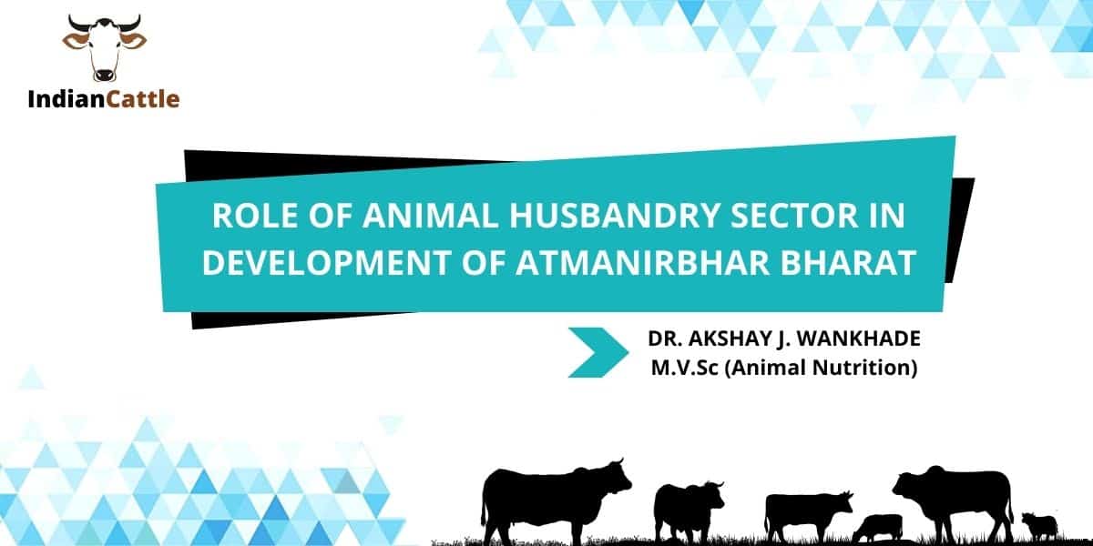 Animal Husbandry Sector