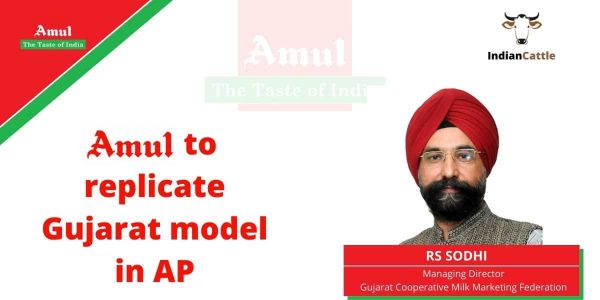 Amul to replicate Gujarat model in AP