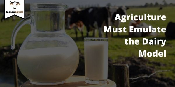 Agriculture Must Emulate the Dairy Model