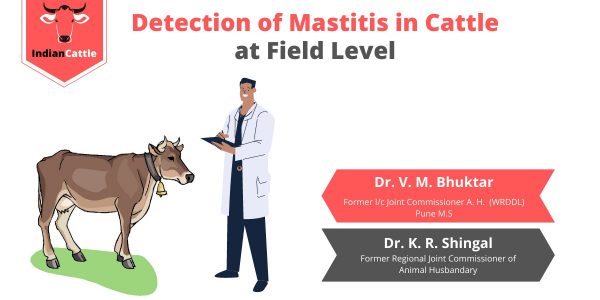 Detection of Mastitis in Cattle at Field Level