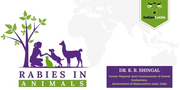 Rabies in Animals