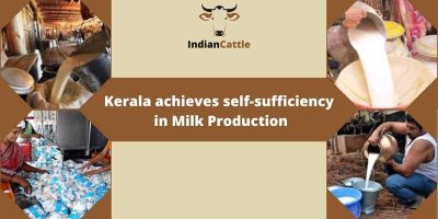 Self-sufficiency in Milk Production