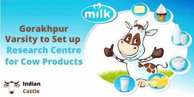 Research Centre for Cow Products