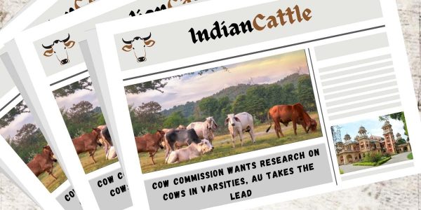 Research on Cows in Varsities