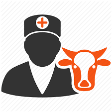 Veterinary Doctor