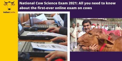 National Cow Science Exam 2021
