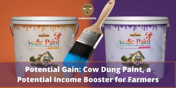 Cow dung paint