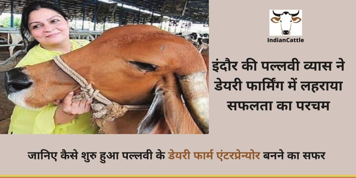 डेयरी फार्म एंटरप्रेन्योर