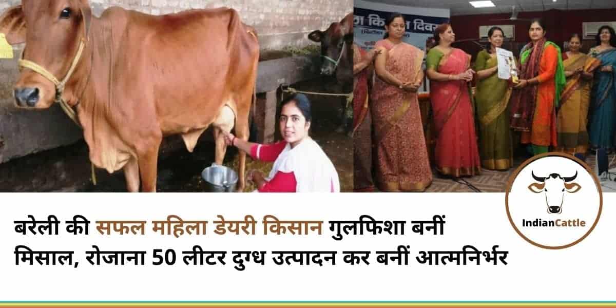महिला डेयरी किसान Women Dairy Farmer