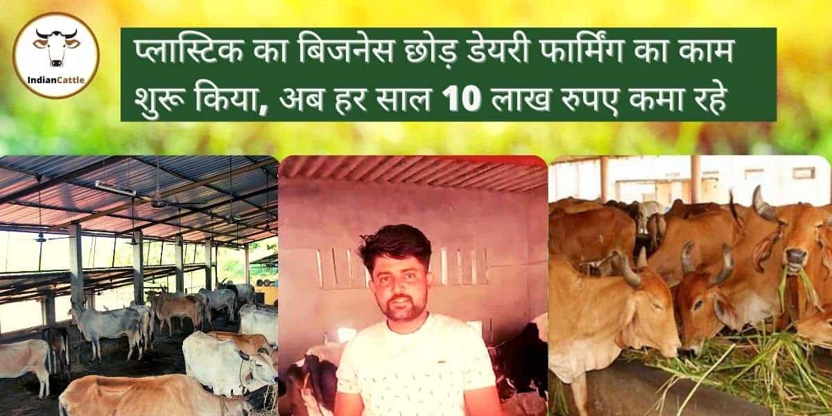 डेयरी फार्मिंग / Dairy Farming Business