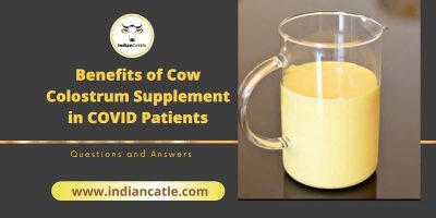 Benefits of Cow Colostrum