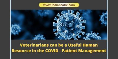 Veterinarians can be a Useful Human Resource in the COVID