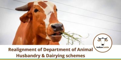 Realignment of DeAnimal Husbandry & Dairying schemes