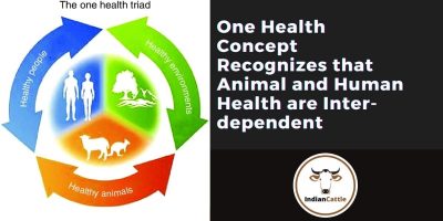 One Health approach