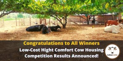 Cow Housing Competition
