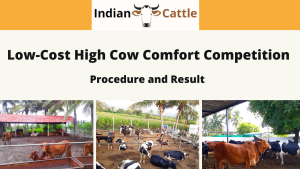 cow housing competition