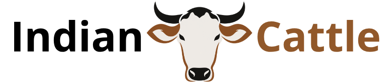 Indian Cattle